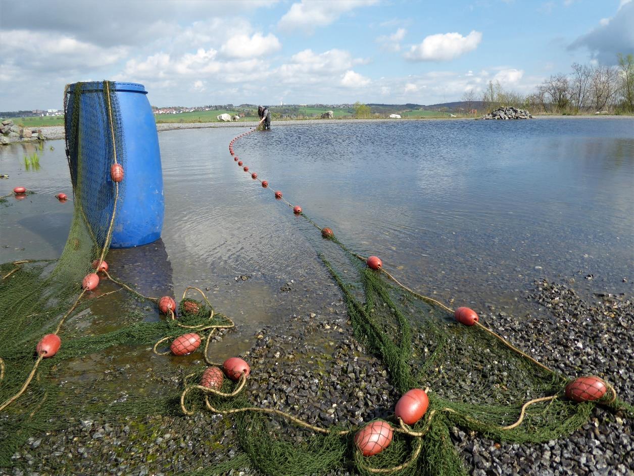 Landesverband Westfälischer Angelfischer (LWAF) - Elektrobefischung Halde Hahenfurth
